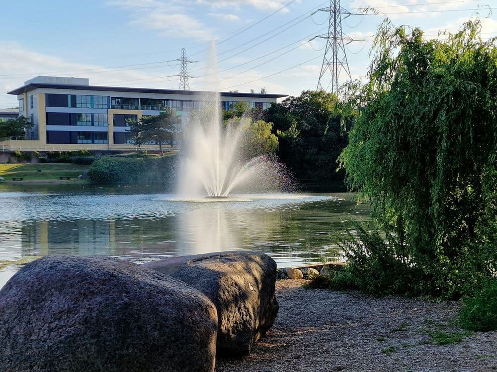 A familiar image of Dartford phone numbers