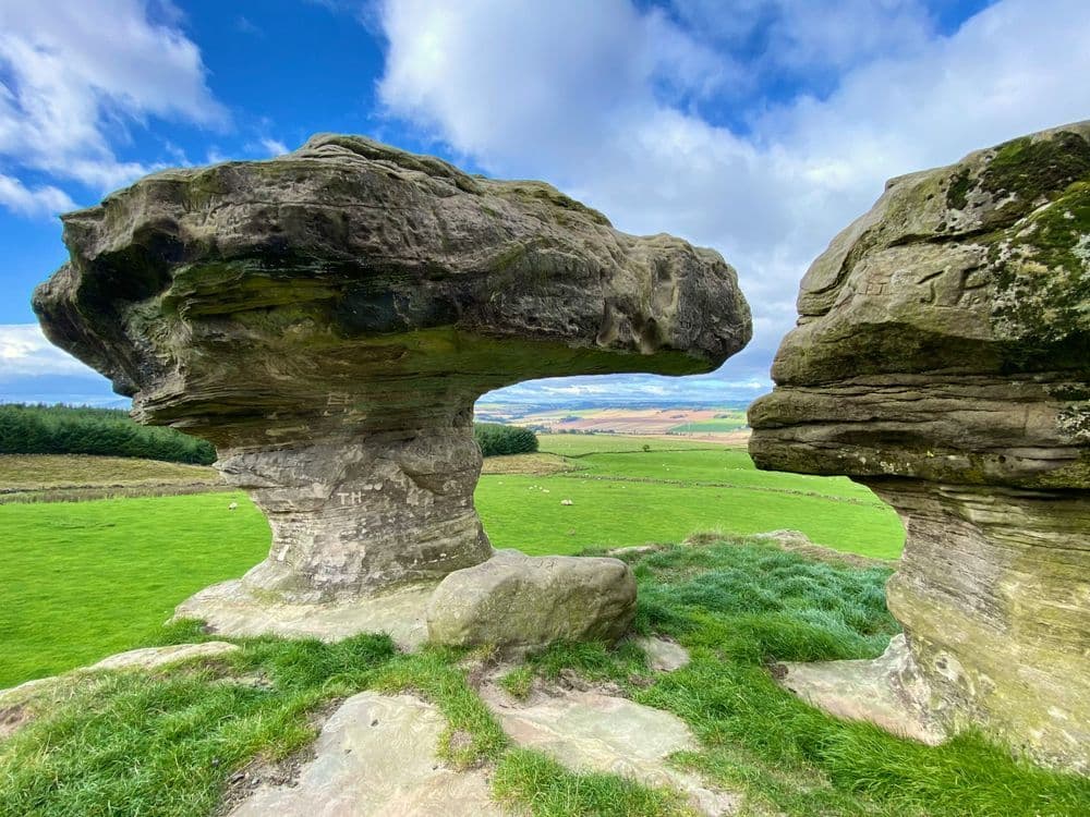 A familiar image of Leven phone numbers