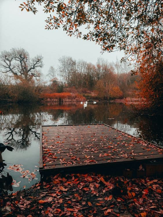 A familiar image of Bracknell phone numbers