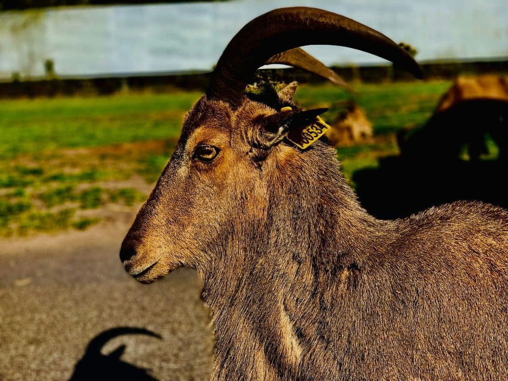 A familiar image of Dereham phone numbers