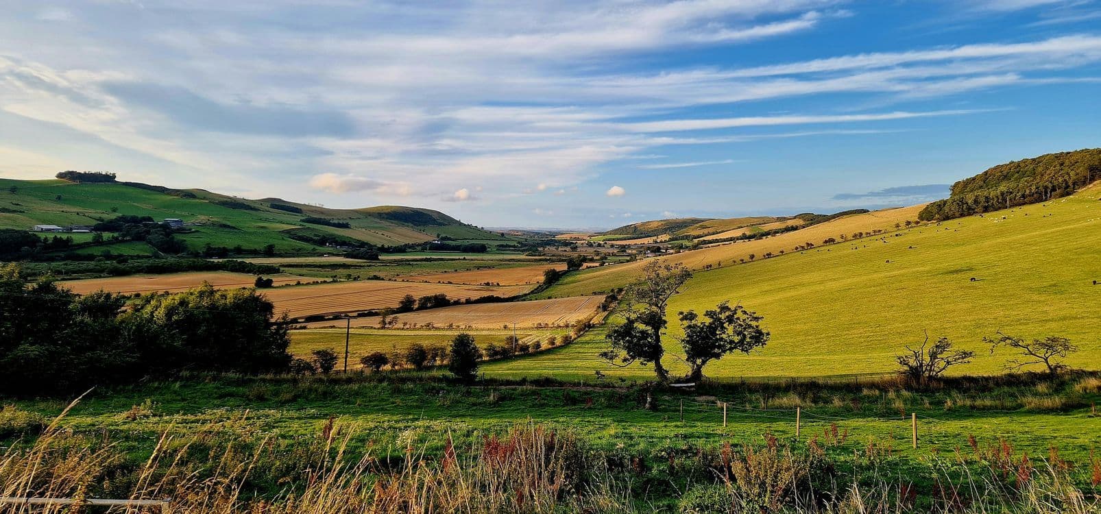 A familiar image of Heathfield phone numbers