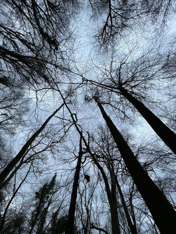 A familiar image of Chipping Sodbury phone numbers