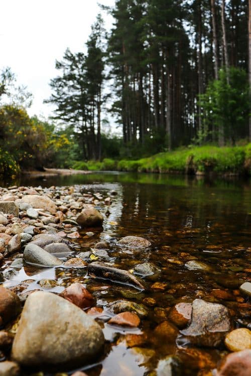 A familiar image of Grantown-on-Spey phone numbers