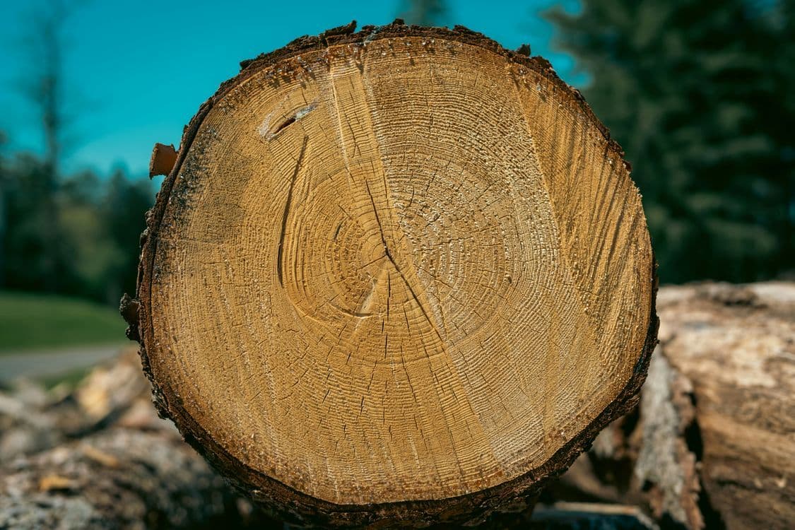 A familiar image of Huntingdon phone numbers