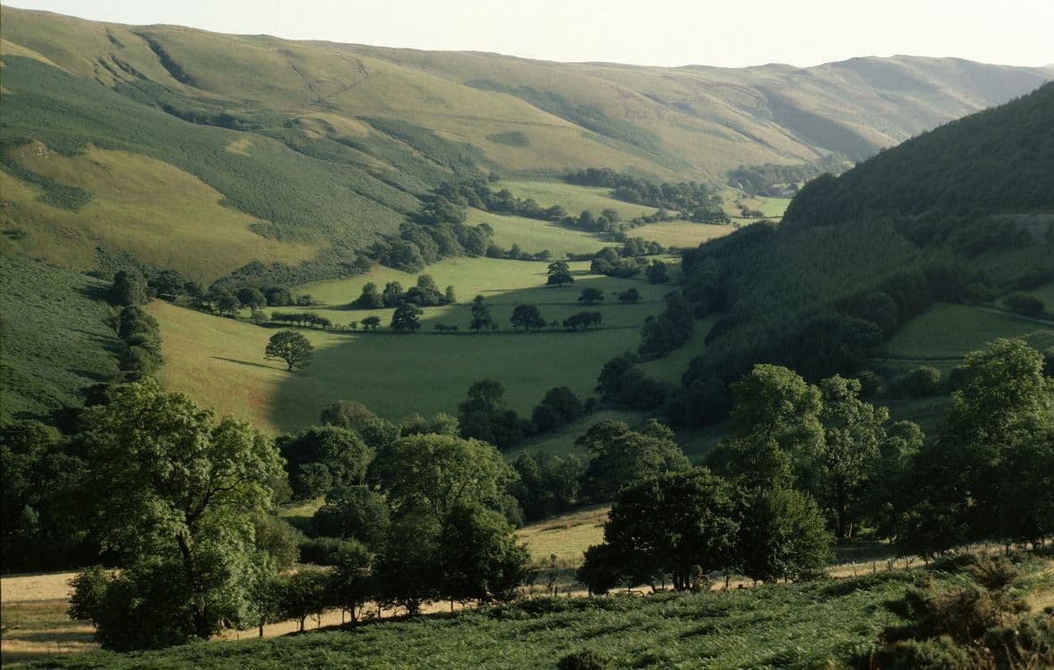 A familiar image of Knighton phone numbers