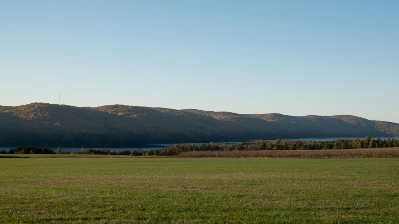 A familiar image of North Walsham phone numbers