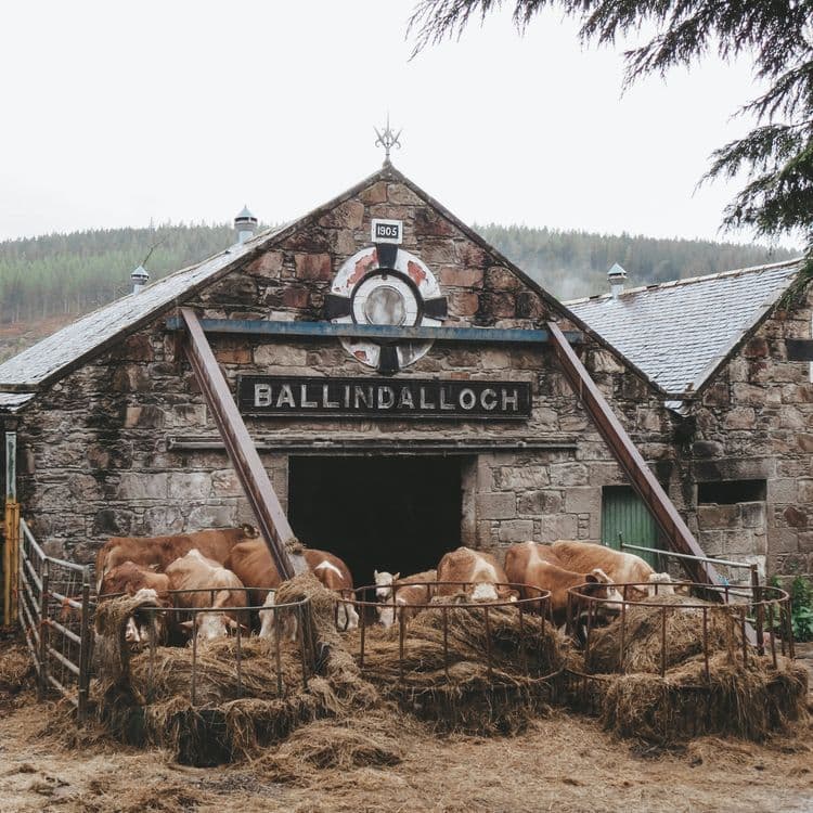 A familiar image of Ballater phone numbers