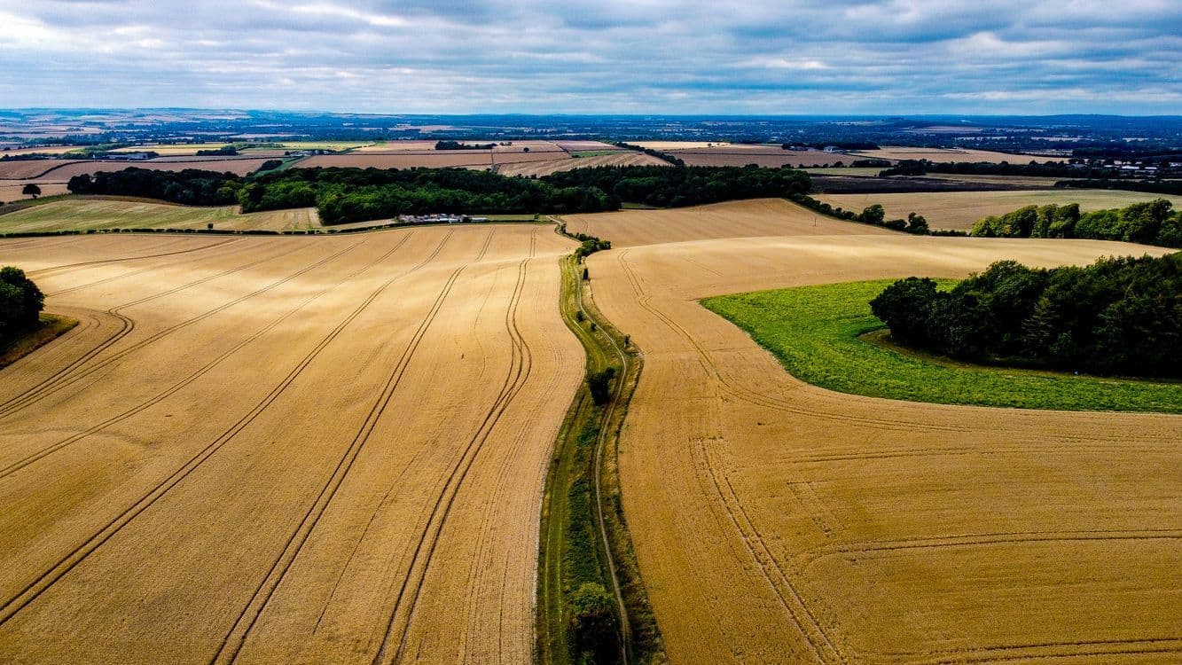 A familiar image of Thame phone numbers