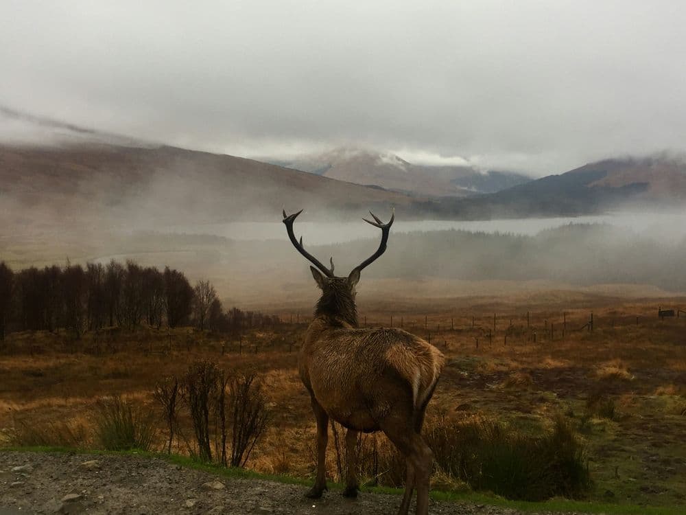 A familiar image of Kilchrenan phone numbers