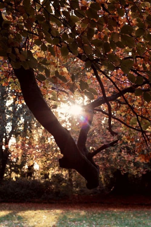 A familiar image of Portadown phone numbers