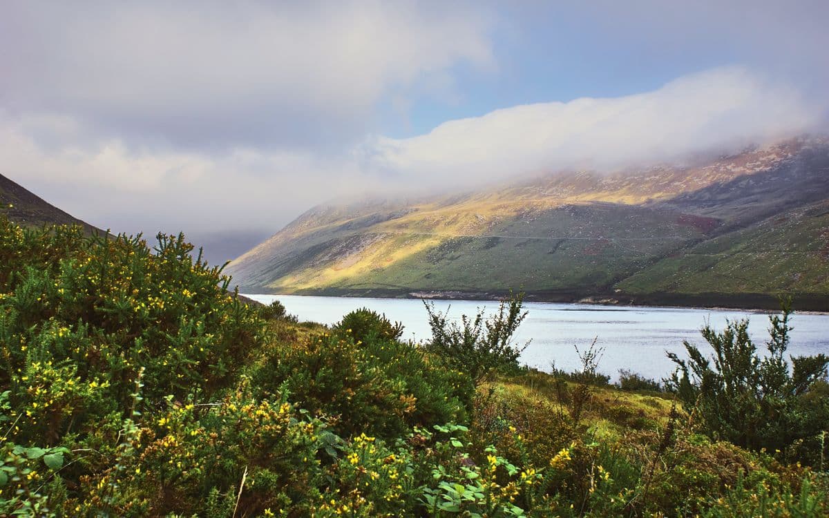 A familiar image of Banbridge phone numbers