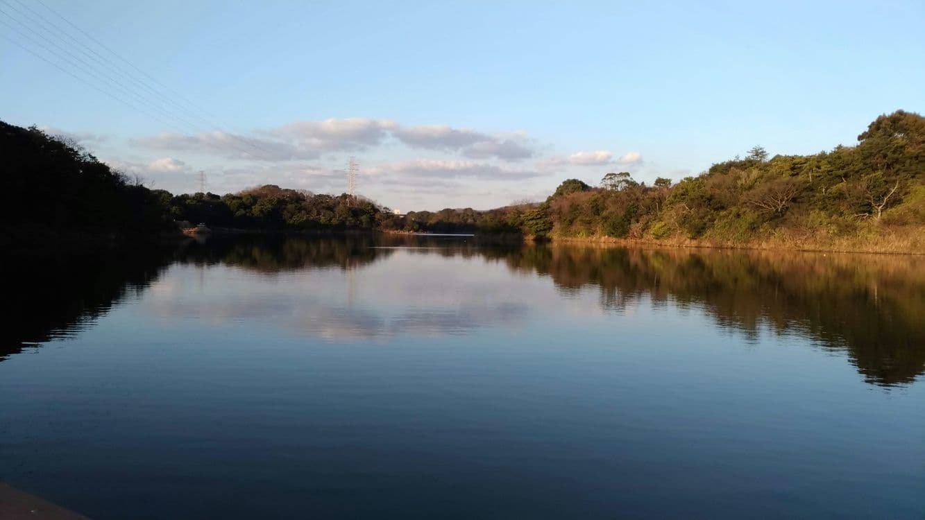 A familiar image of Cookstown phone numbers