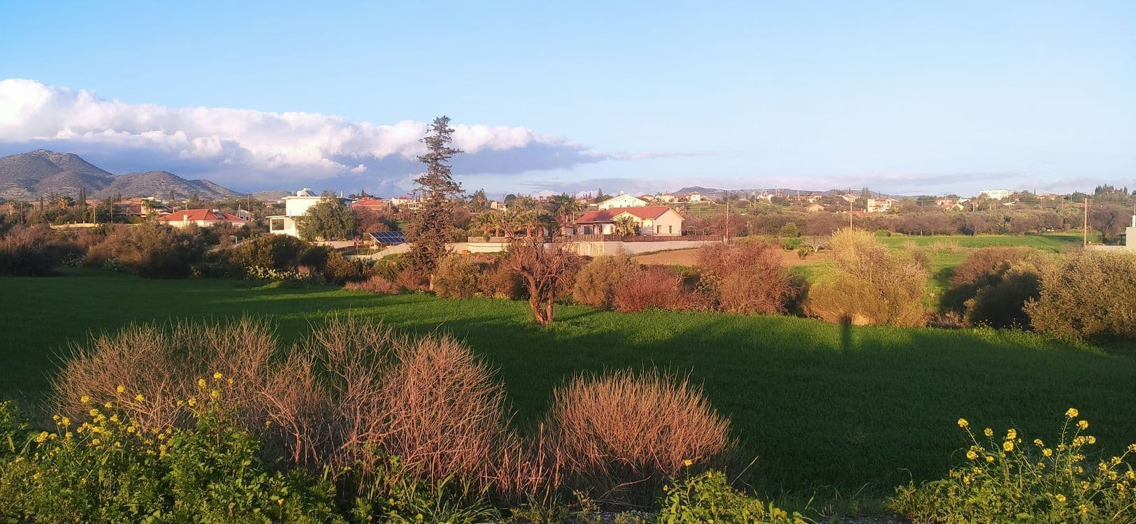 A familiar image of Limassol phone numbers