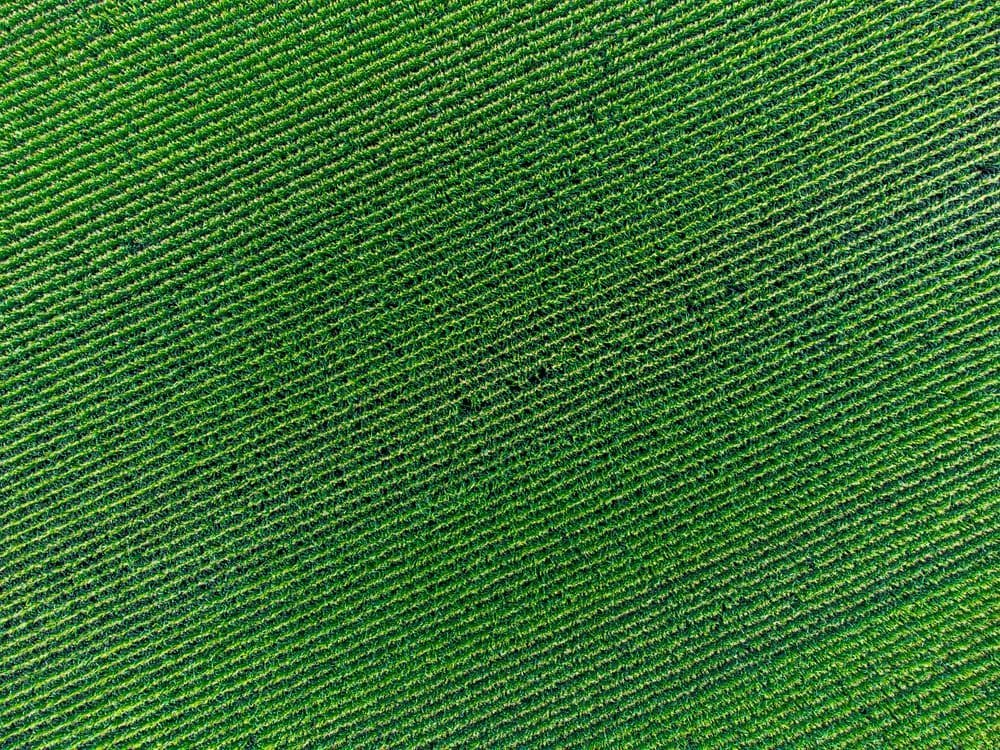 A familiar image of Pakenham phone numbers